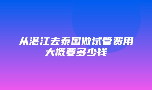 从湛江去泰国做试管费用大概要多少钱