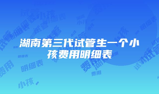 湖南第三代试管生一个小孩费用明细表