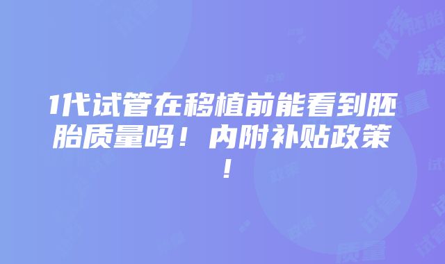 1代试管在移植前能看到胚胎质量吗！内附补贴政策！