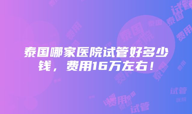 泰国哪家医院试管好多少钱，费用16万左右！