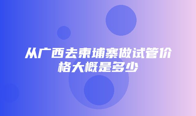 从广西去柬埔寨做试管价格大概是多少