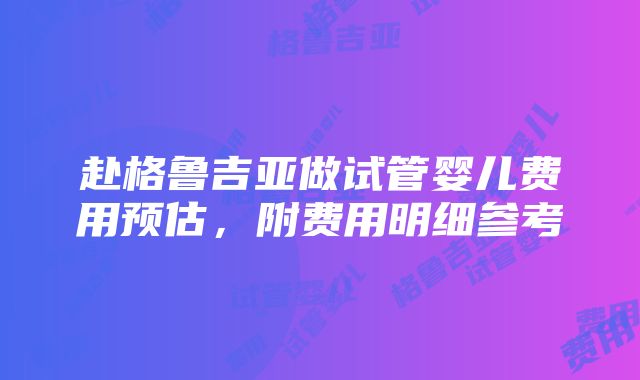 赴格鲁吉亚做试管婴儿费用预估，附费用明细参考