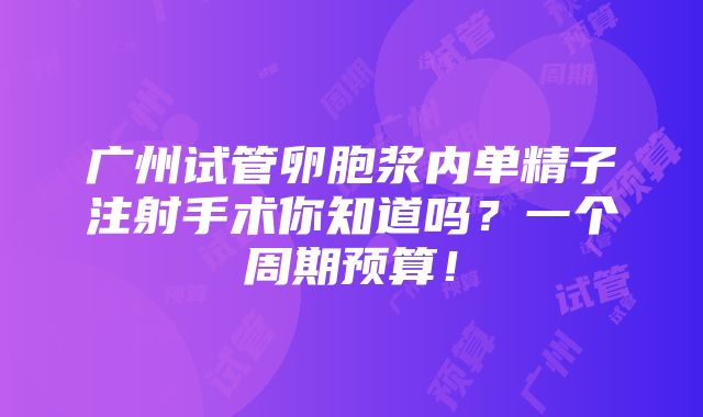 广州试管卵胞浆内单精子注射手术你知道吗？一个周期预算！