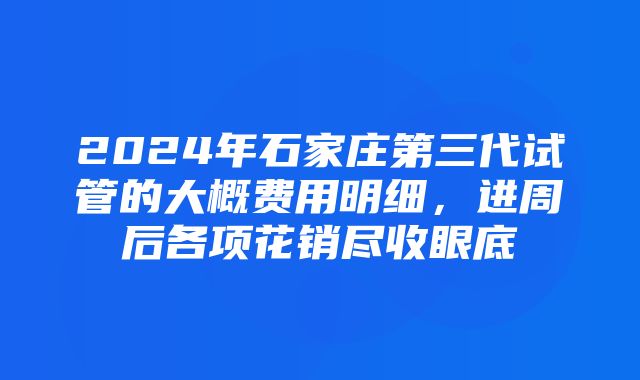 2024年石家庄第三代试管的大概费用明细，进周后各项花销尽收眼底