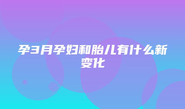 孕3月孕妇和胎儿有什么新变化