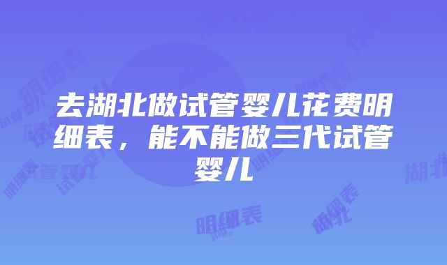 去湖北做试管婴儿花费明细表，能不能做三代试管婴儿