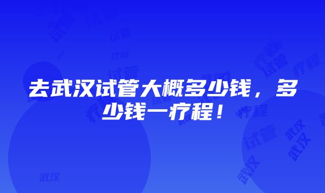 去武汉试管大概多少钱，多少钱一疗程！