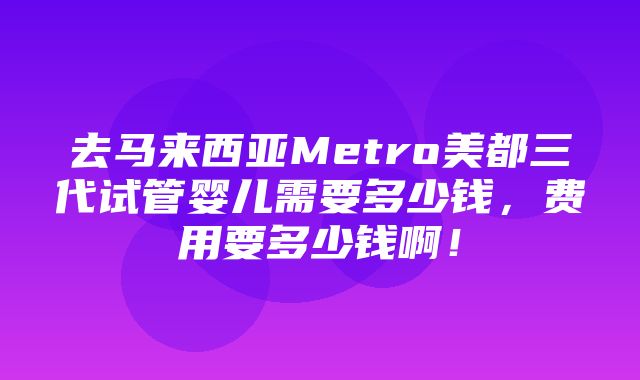 去马来西亚Metro美都三代试管婴儿需要多少钱，费用要多少钱啊！