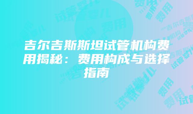 吉尔吉斯斯坦试管机构费用揭秘：费用构成与选择指南