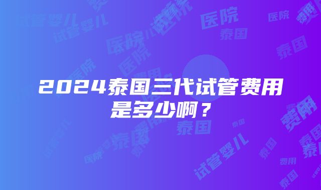 2024泰国三代试管费用是多少啊？