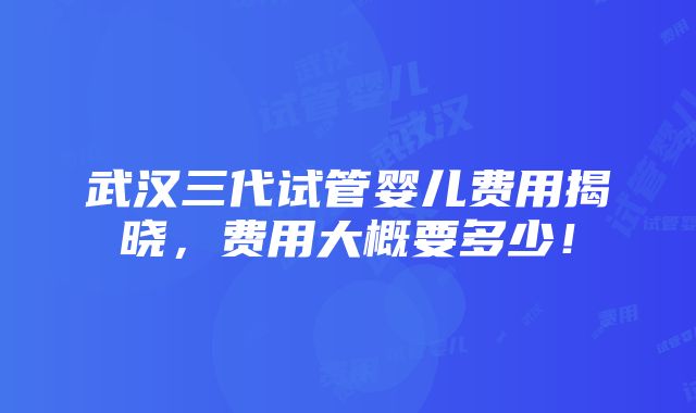 武汉三代试管婴儿费用揭晓，费用大概要多少！