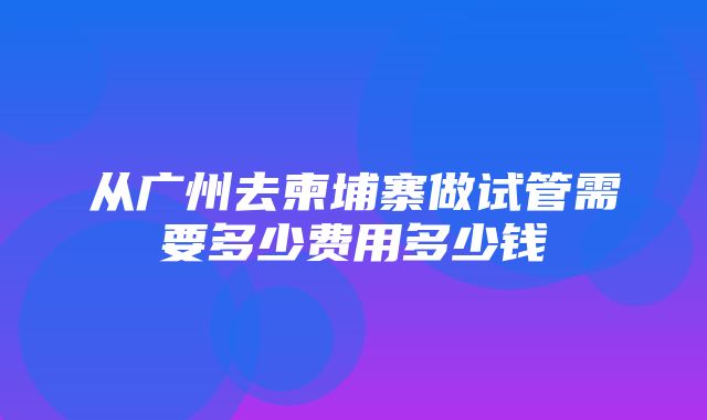 从广州去柬埔寨做试管需要多少费用多少钱