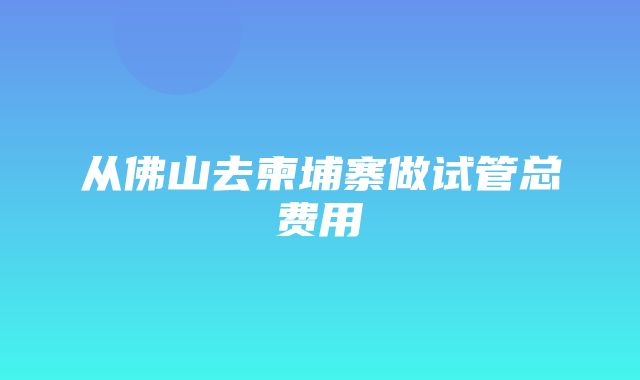 从佛山去柬埔寨做试管总费用