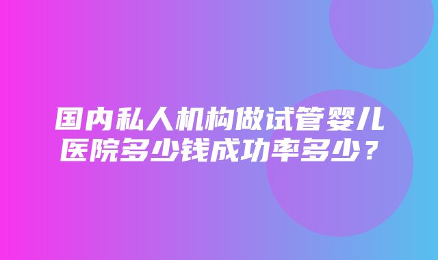 国内私人机构做试管婴儿医院多少钱成功率多少？