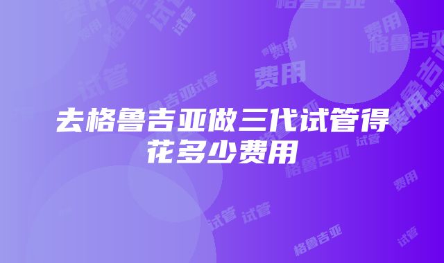 去格鲁吉亚做三代试管得花多少费用