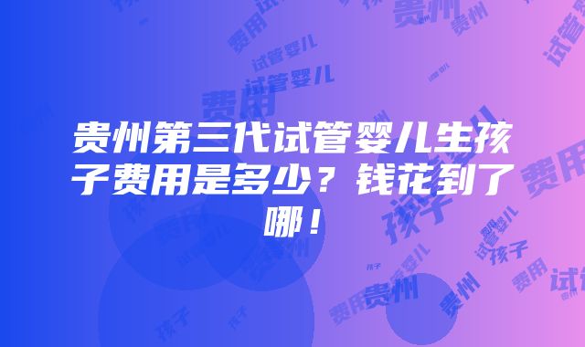 贵州第三代试管婴儿生孩子费用是多少？钱花到了哪！