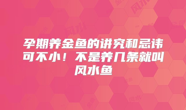 孕期养金鱼的讲究和忌讳可不小！不是养几条就叫风水鱼