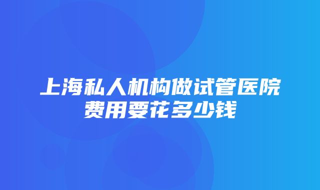 上海私人机构做试管医院费用要花多少钱