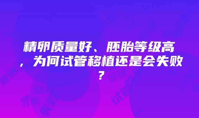 精卵质量好、胚胎等级高，为何试管移植还是会失败？