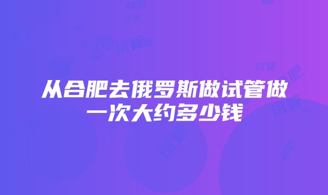 从合肥去俄罗斯做试管做一次大约多少钱