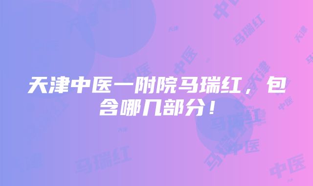 天津中医一附院马瑞红，包含哪几部分！