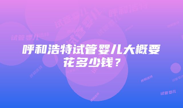 呼和浩特试管婴儿大概要花多少钱？