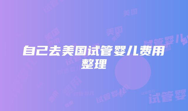 自己去美国试管婴儿费用整理