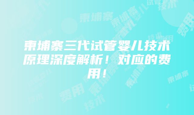 柬埔寨三代试管婴儿技术原理深度解析！对应的费用！