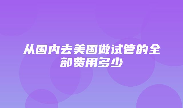 从国内去美国做试管的全部费用多少