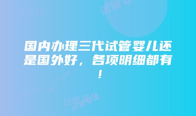 国内办理三代试管婴儿还是国外好，各项明细都有！