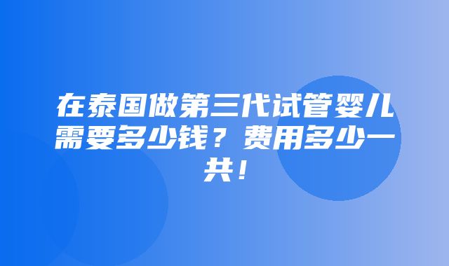 在泰国做第三代试管婴儿需要多少钱？费用多少一共！