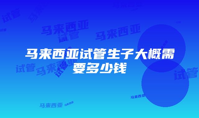 马来西亚试管生子大概需要多少钱