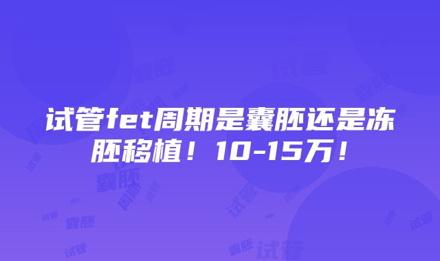 试管fet周期是囊胚还是冻胚移植！10-15万！