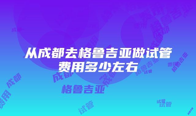 从成都去格鲁吉亚做试管费用多少左右