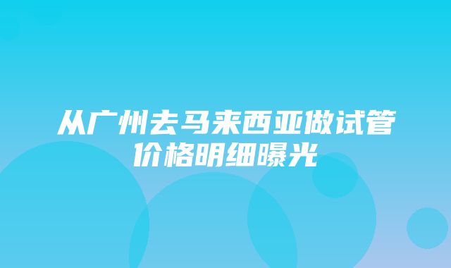 从广州去马来西亚做试管价格明细曝光