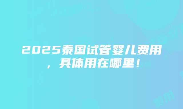 2025泰国试管婴儿费用，具体用在哪里！