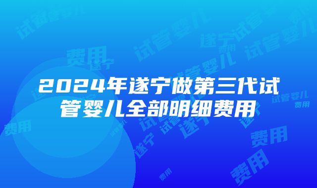 2024年遂宁做第三代试管婴儿全部明细费用