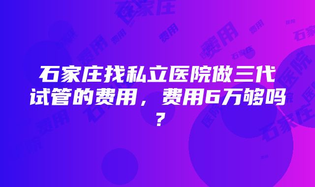 石家庄找私立医院做三代试管的费用，费用6万够吗？