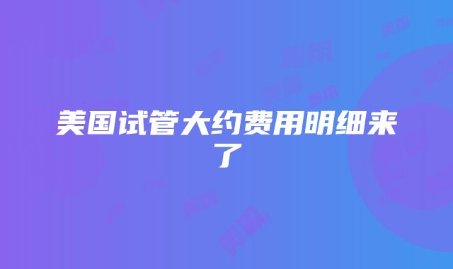 美国试管大约费用明细来了