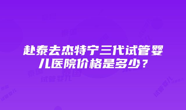 赴泰去杰特宁三代试管婴儿医院价格是多少？