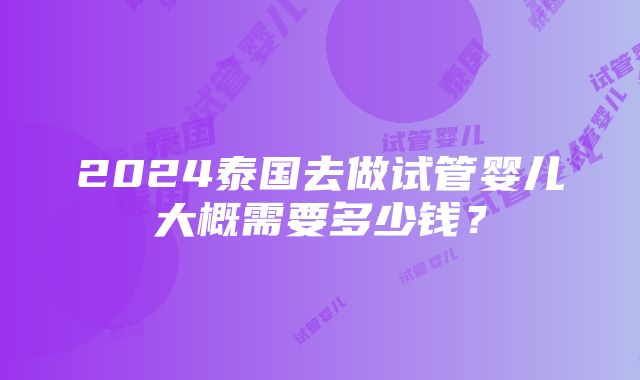 2024泰国去做试管婴儿大概需要多少钱？