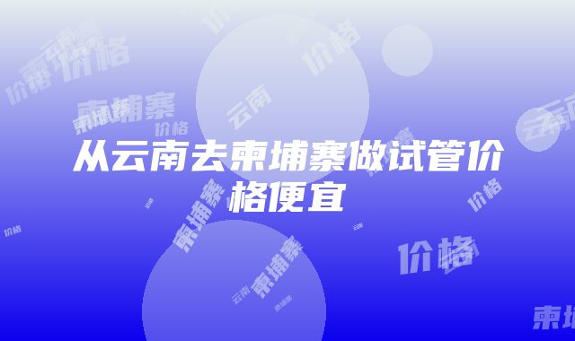 从云南去柬埔寨做试管价格便宜