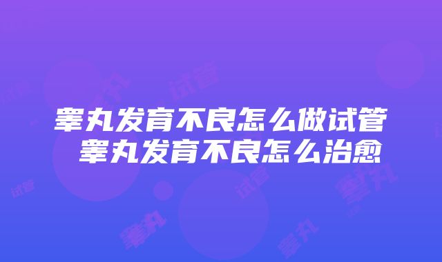 睾丸发育不良怎么做试管 睾丸发育不良怎么治愈