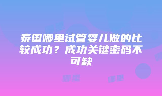 泰国哪里试管婴儿做的比较成功？成功关键密码不可缺