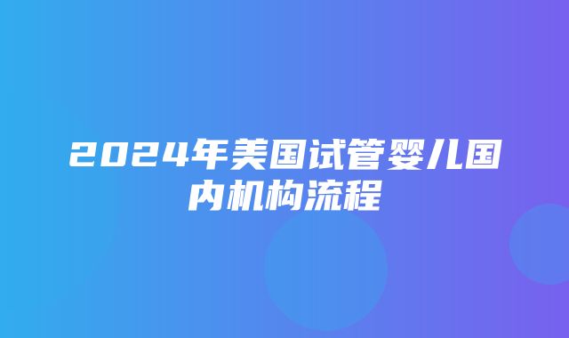 2024年美国试管婴儿国内机构流程