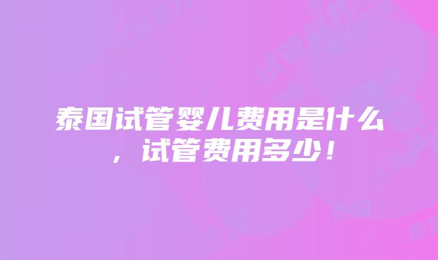 泰国试管婴儿费用是什么，试管费用多少！