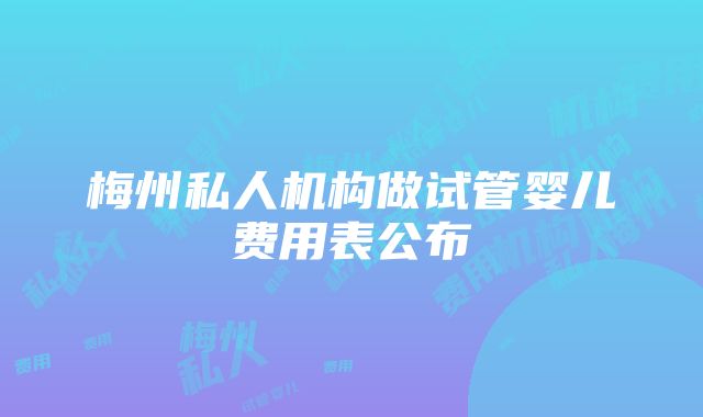 梅州私人机构做试管婴儿费用表公布