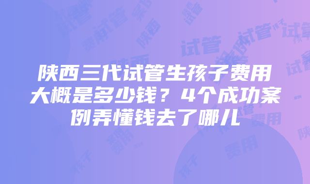 陕西三代试管生孩子费用大概是多少钱？4个成功案例弄懂钱去了哪儿