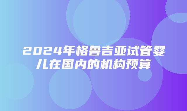 2024年格鲁吉亚试管婴儿在国内的机构预算