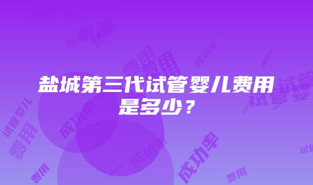 盐城第三代试管婴儿费用是多少？